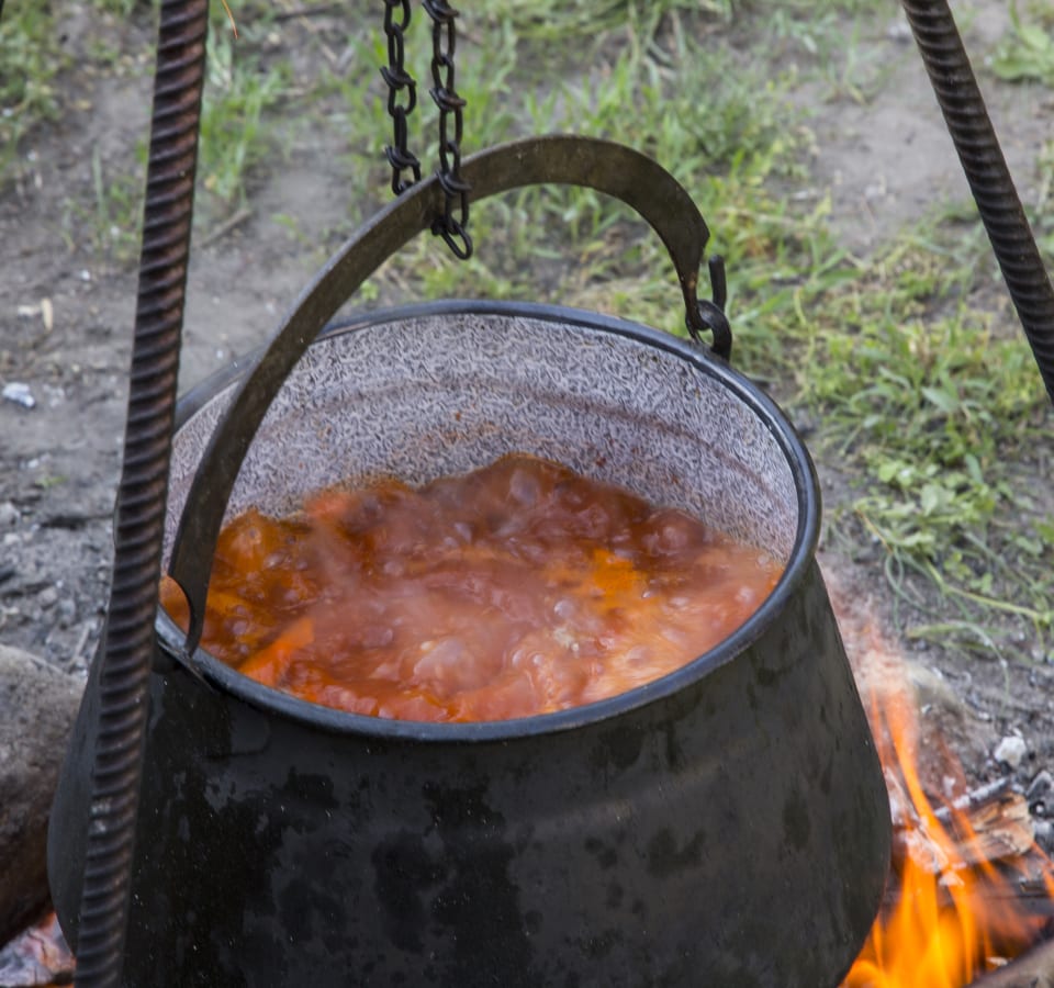 Picture of An Authentic Danubian Fisherman Cooking Class