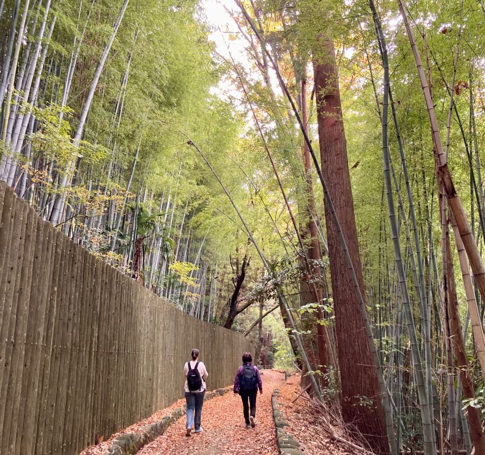 Picture of Discovering Tranquil Nature and Hidden Gems