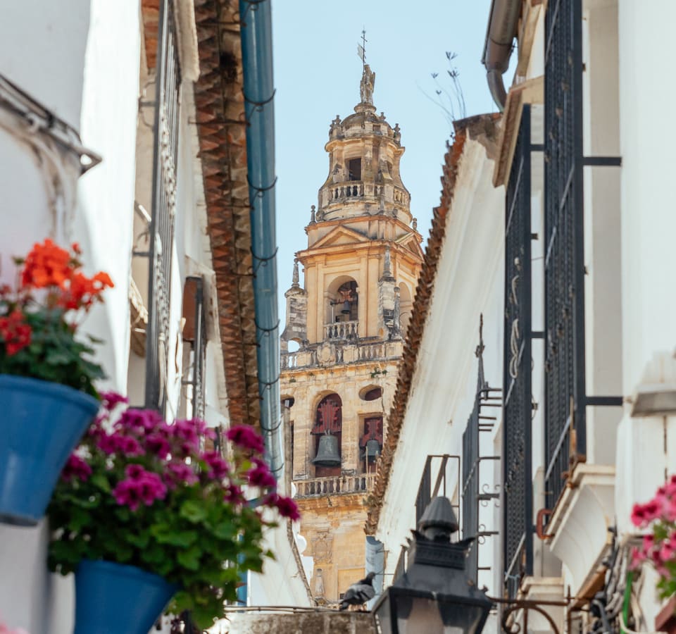 Picture of City Discovery: Carmona & Cordoba Day Trip