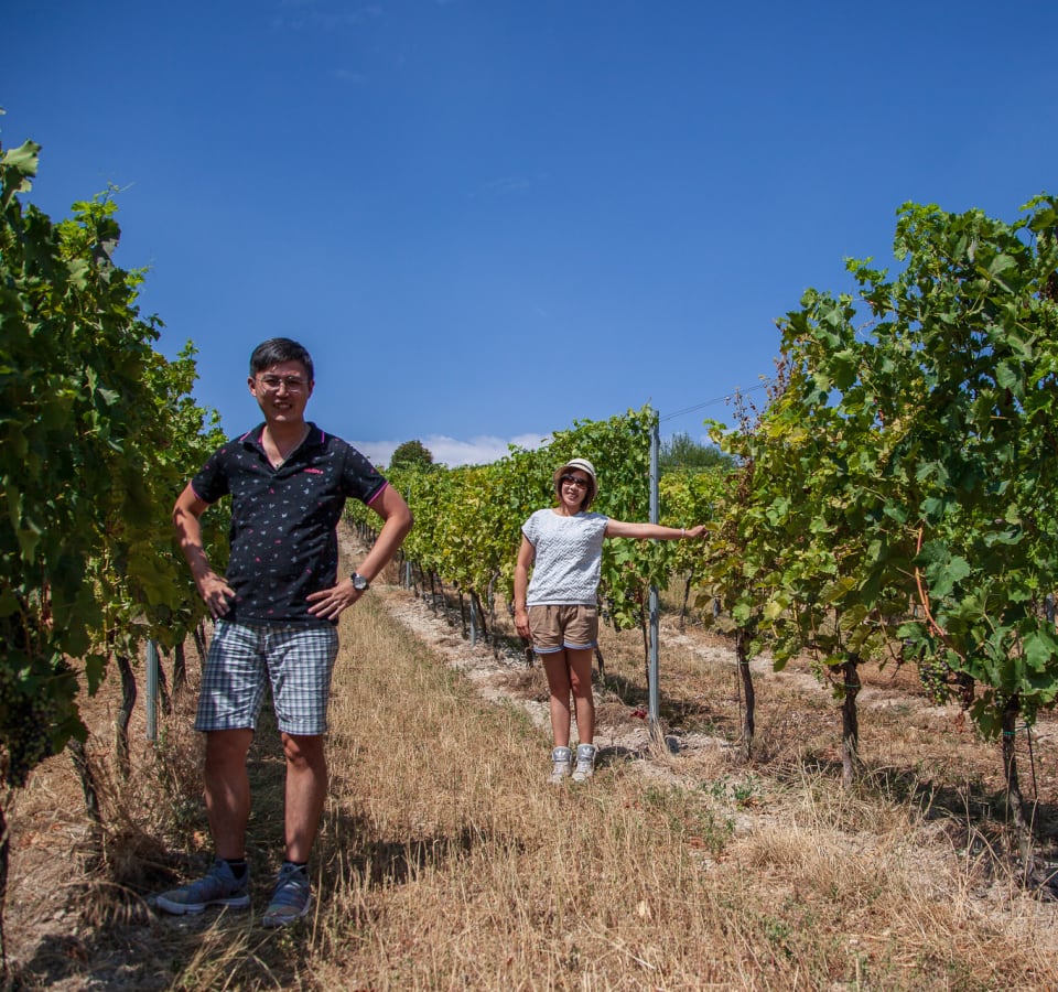Picture of PRIVATE WINE & HERITAGE IN BOHEMIA (1-hour from Prague)