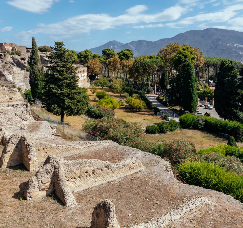 Picture of A Day in Pompeii Tour with an Archeologist
