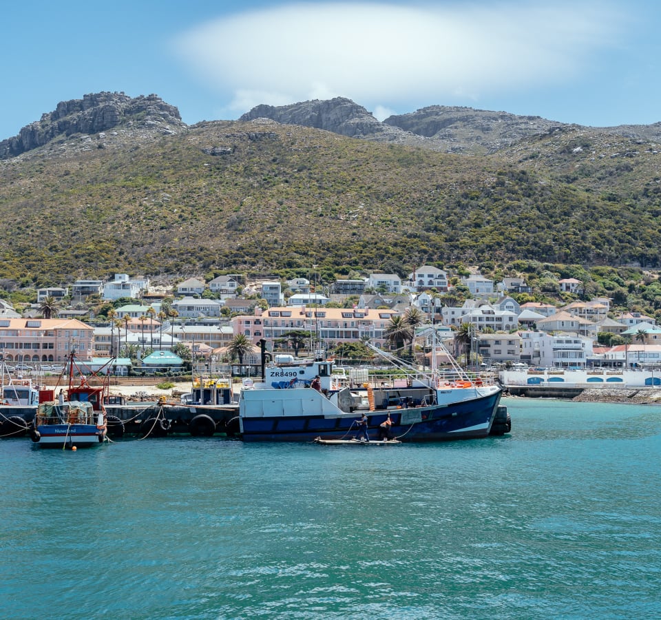 Picture of City Escape: Cape Town Classics Day Trip