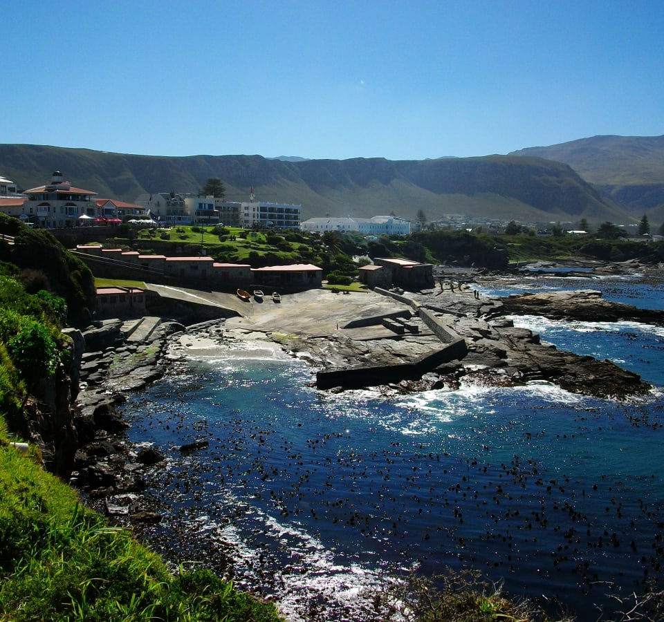 Picture of Cape Town's Whales & Wine day trip with Seafood Lunch