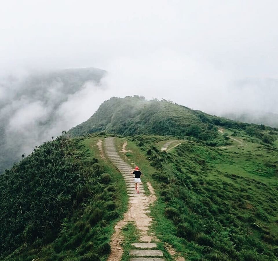 Picture of Yilan Day Tour: Tea plantation, Shrimping, Foot Hot spring, Kavalan whisky