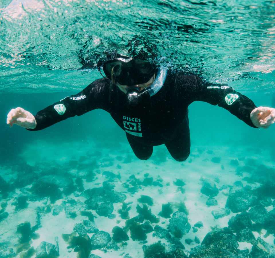 Picture of Cape Town From the Water: Snorkeling & Penguins