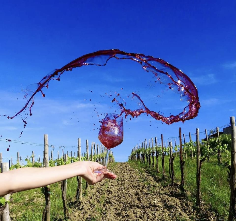 Picture of Wine and food under the Tuscan sun - a true experience in the Chianti region 