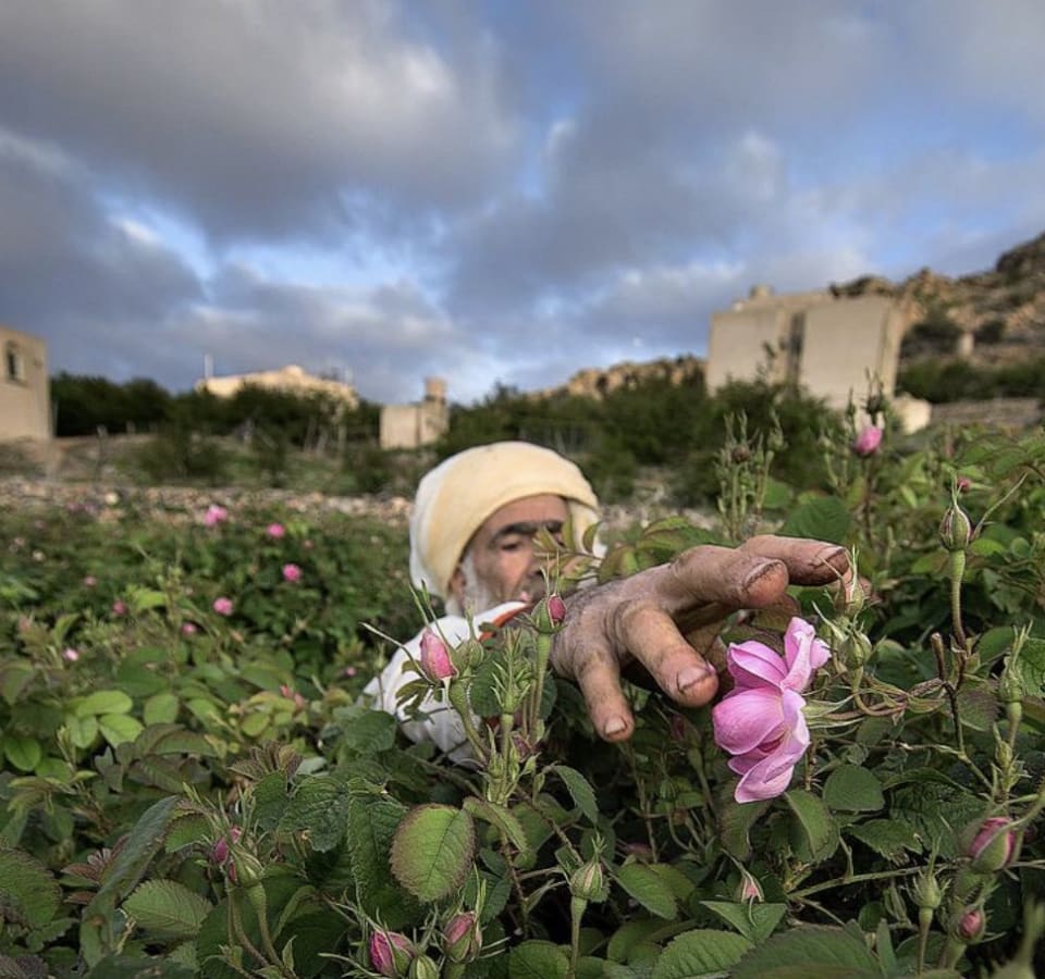 Picture of The real Oman: Day trip to the Mountain Villages 