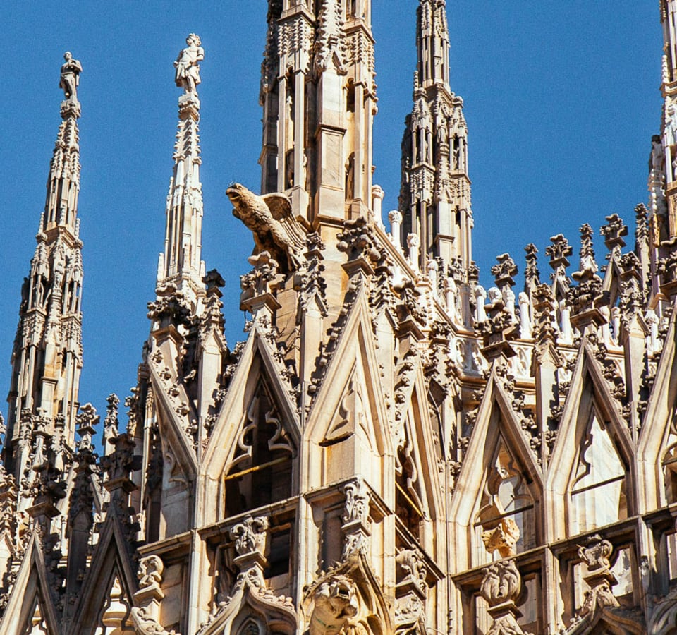 Picture of Explore the Duomo & Terrace  with a Local Guide