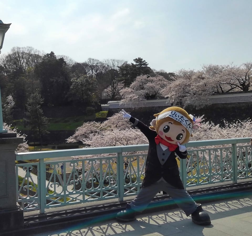 Picture of The Ultimate Kanazawa tour