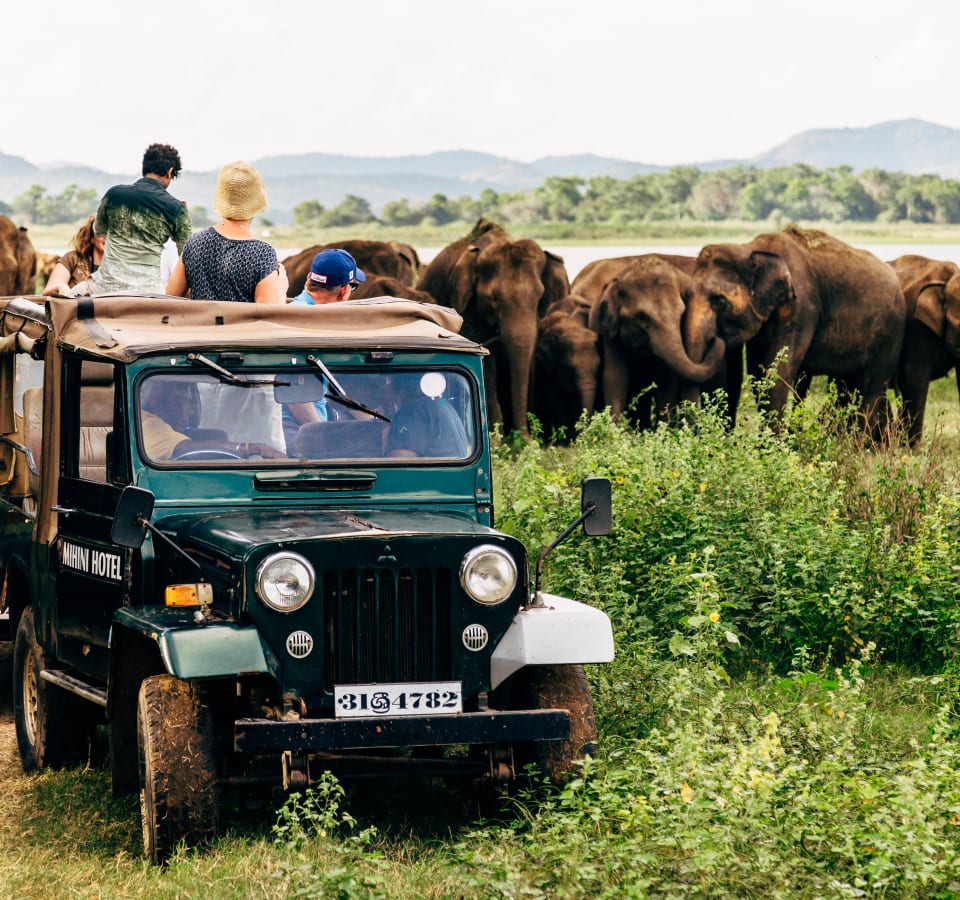 Picture of Exploring Sri Lanka: Best Multi-day Private Tour 