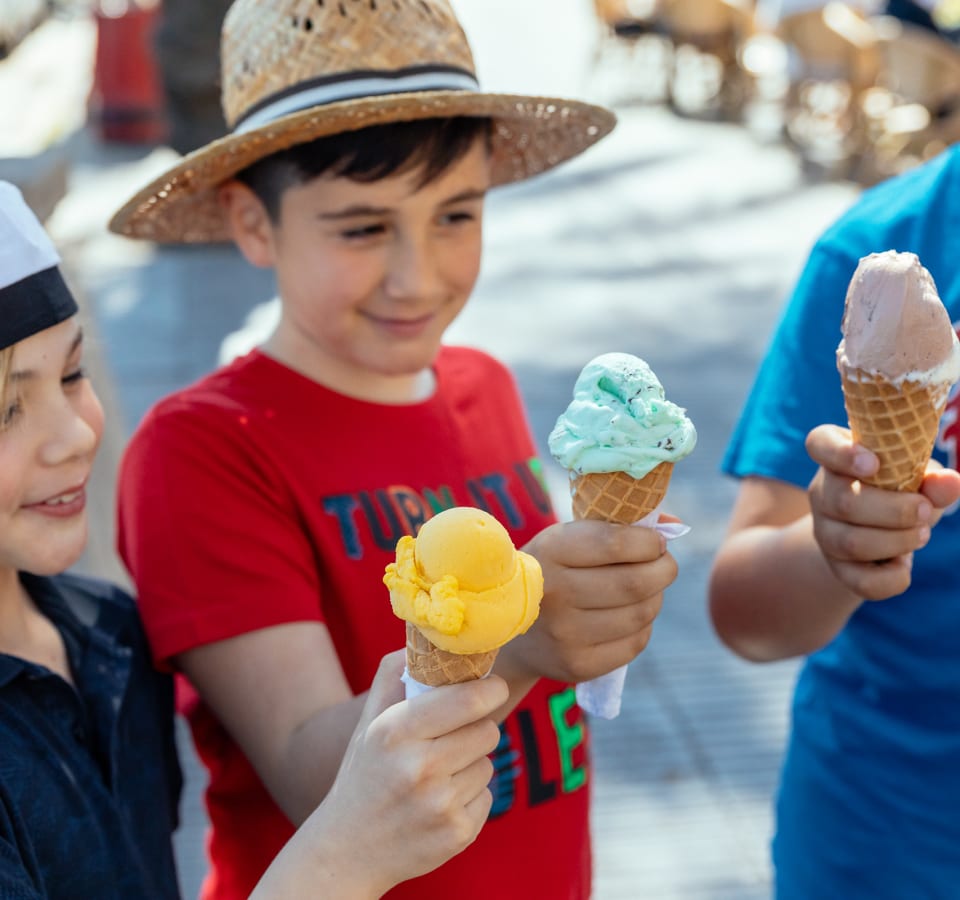 Picture of Family Friendly Dubrovnik City Tour
