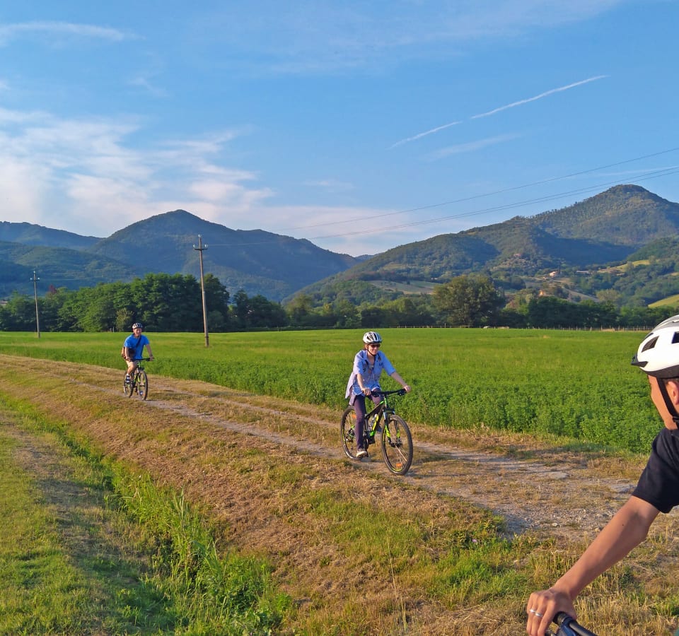 Picture of Tuscan Countryside Bike Tour & Saffron Tasting