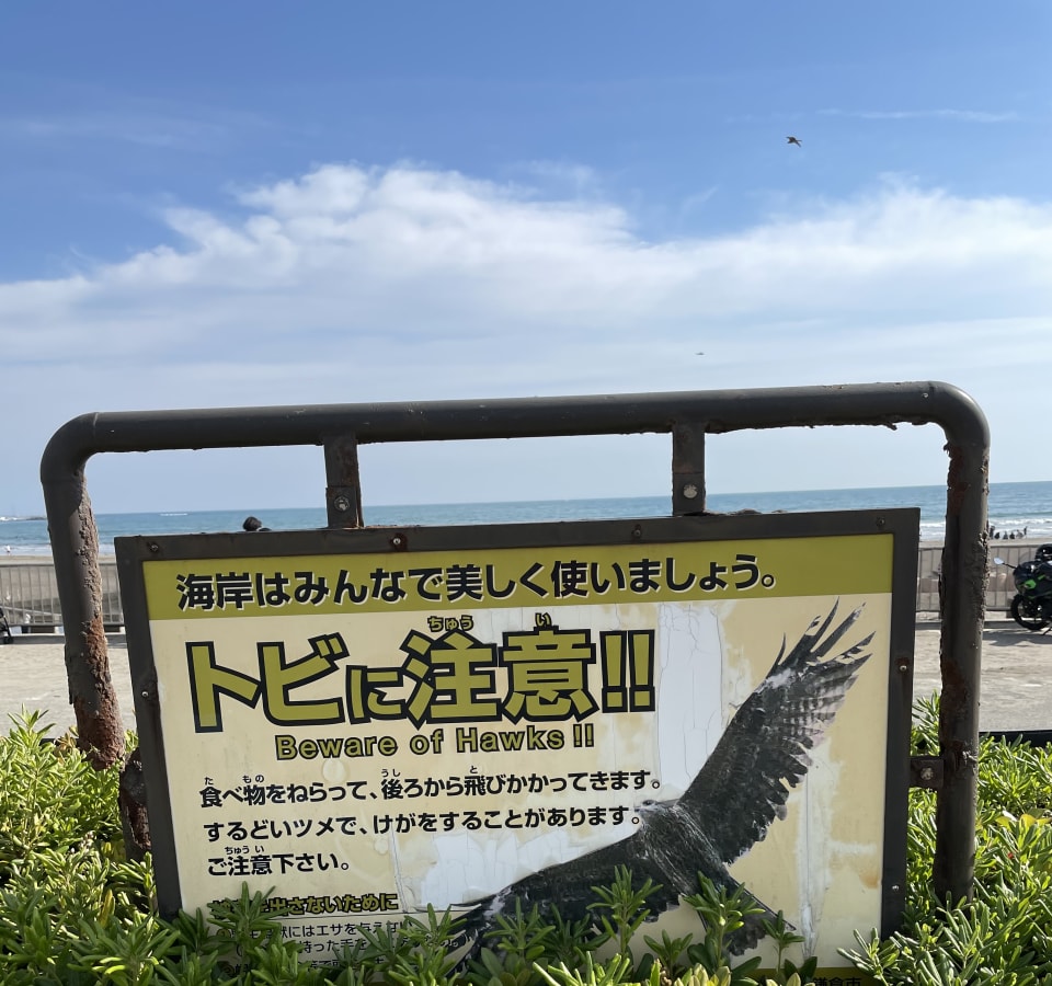 Picture of Kamakura Highlights: Half-Day Adventure