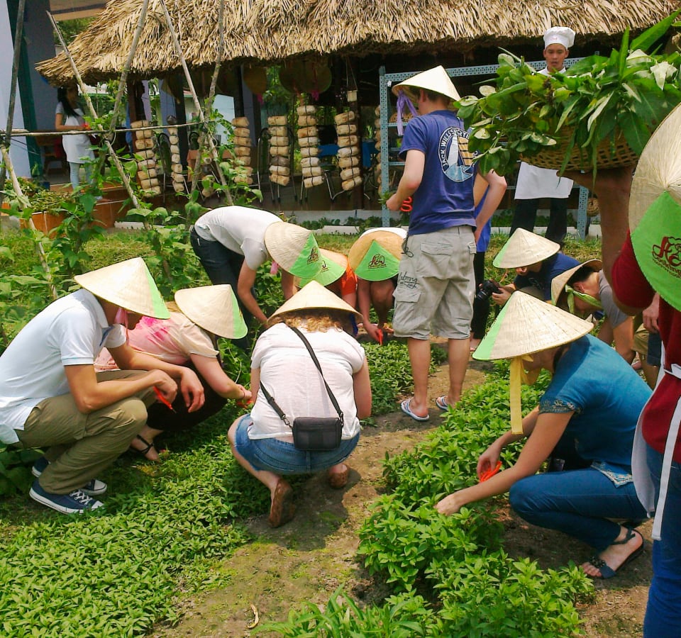 Picture of Healthy Cooking Class at Local Farm