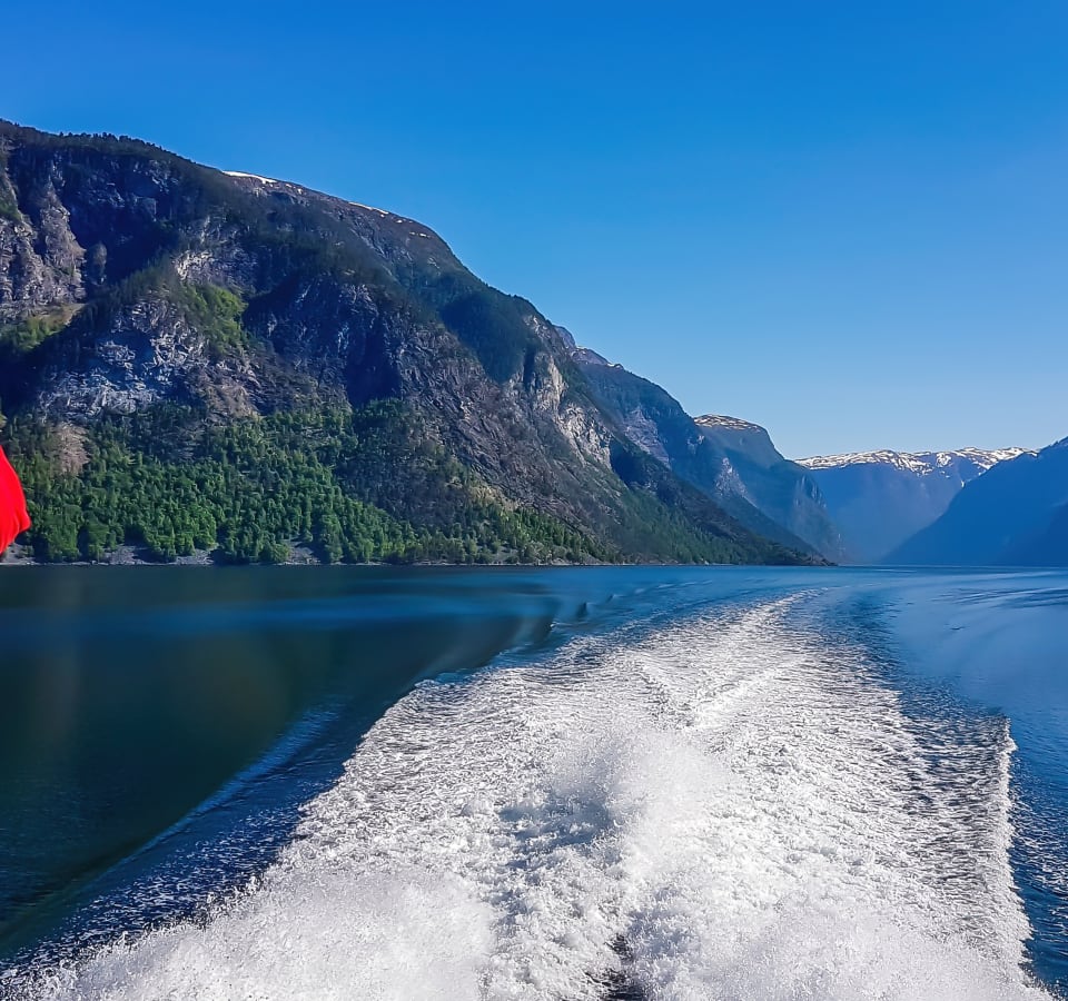Picture of Full Coverage Bergen City Tour