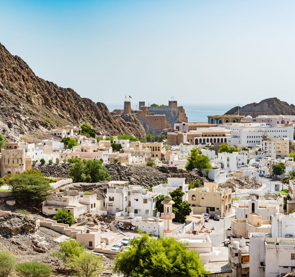 Picture of Full Coverage Muscat City Tour