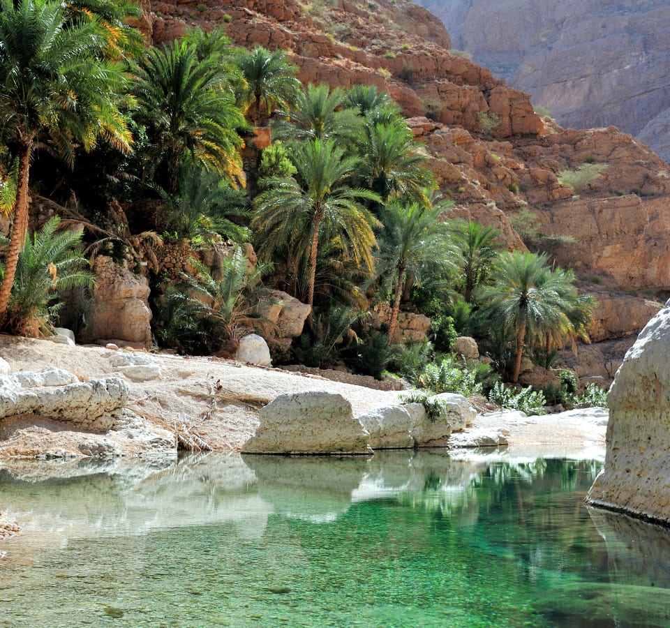 Picture of City Escape: Wadi Shab Day Trip
