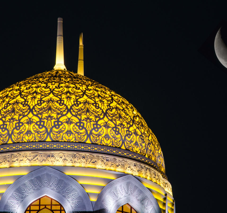 Picture of A Magical Evening in Muscat: City Tour