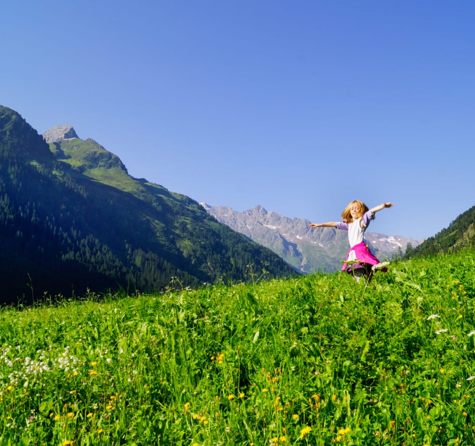 Picture of Melodies of Salzburg: A Journey Through Musical History and Alpine Culture