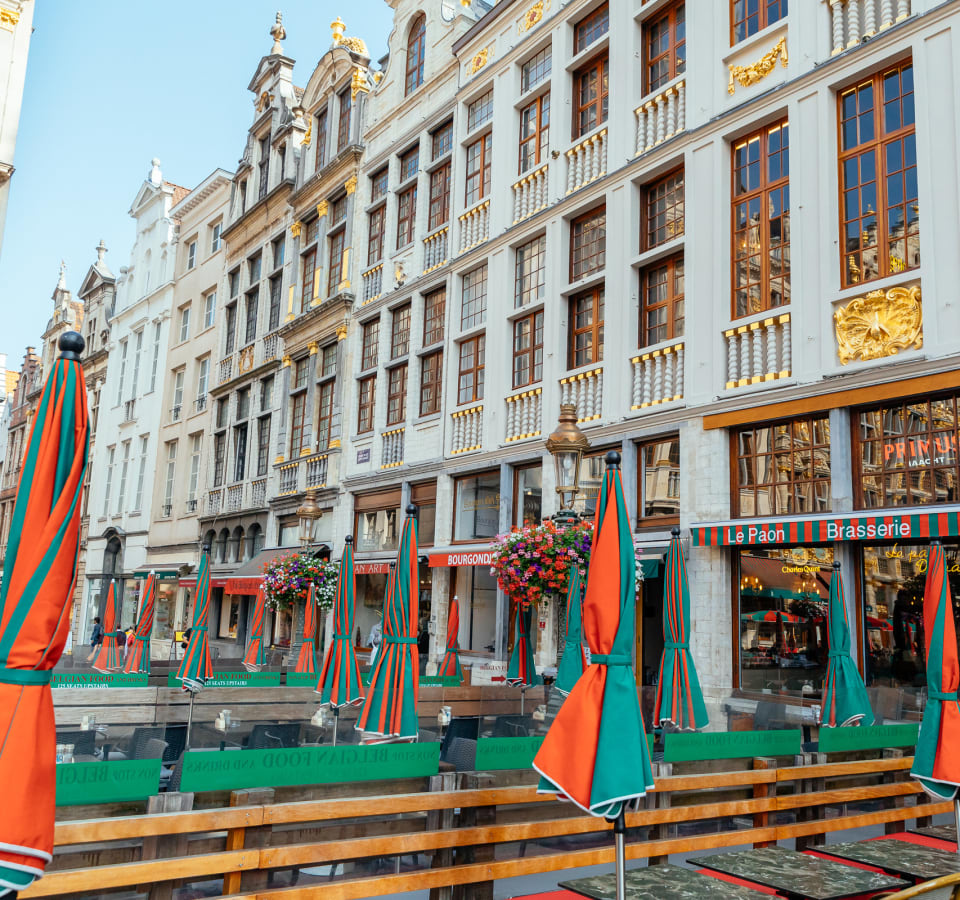 Picture of Full Coverage Brussels City Tour