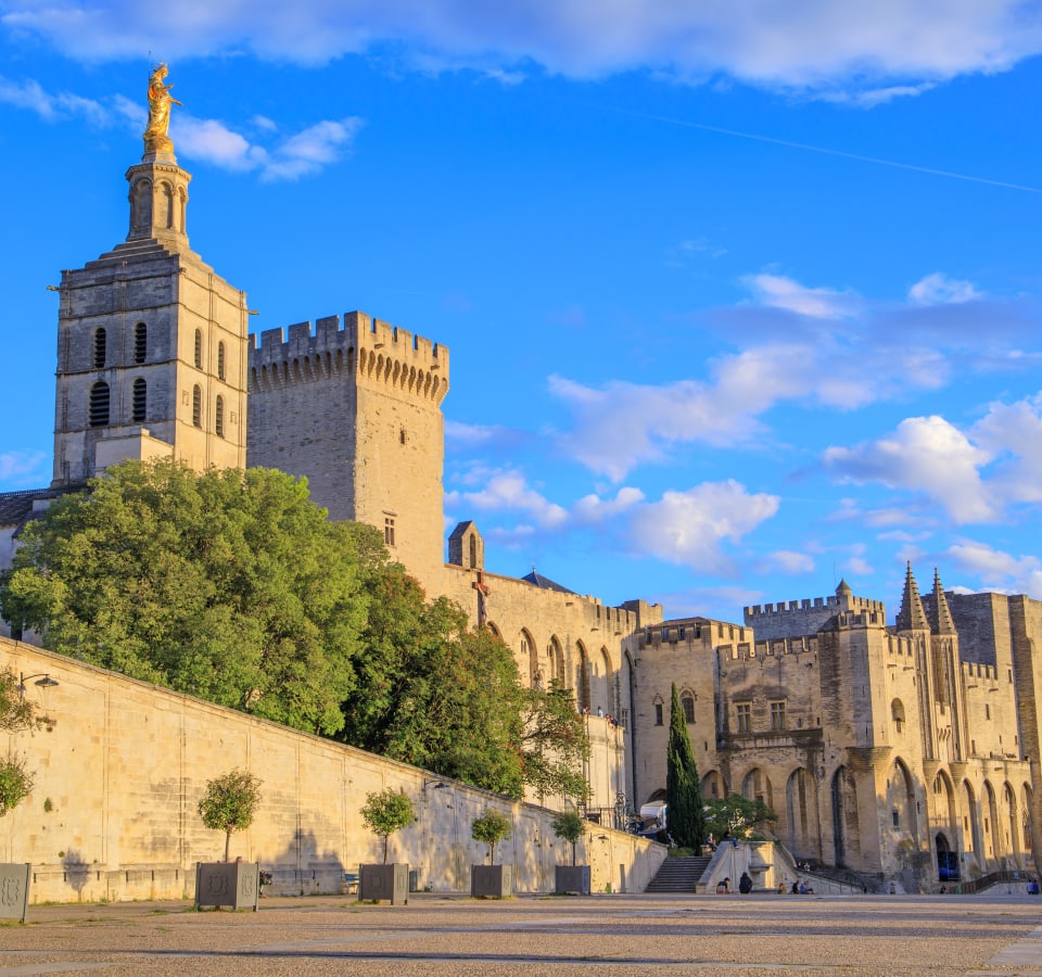 Picture of Full Coverage Avignon City Tour