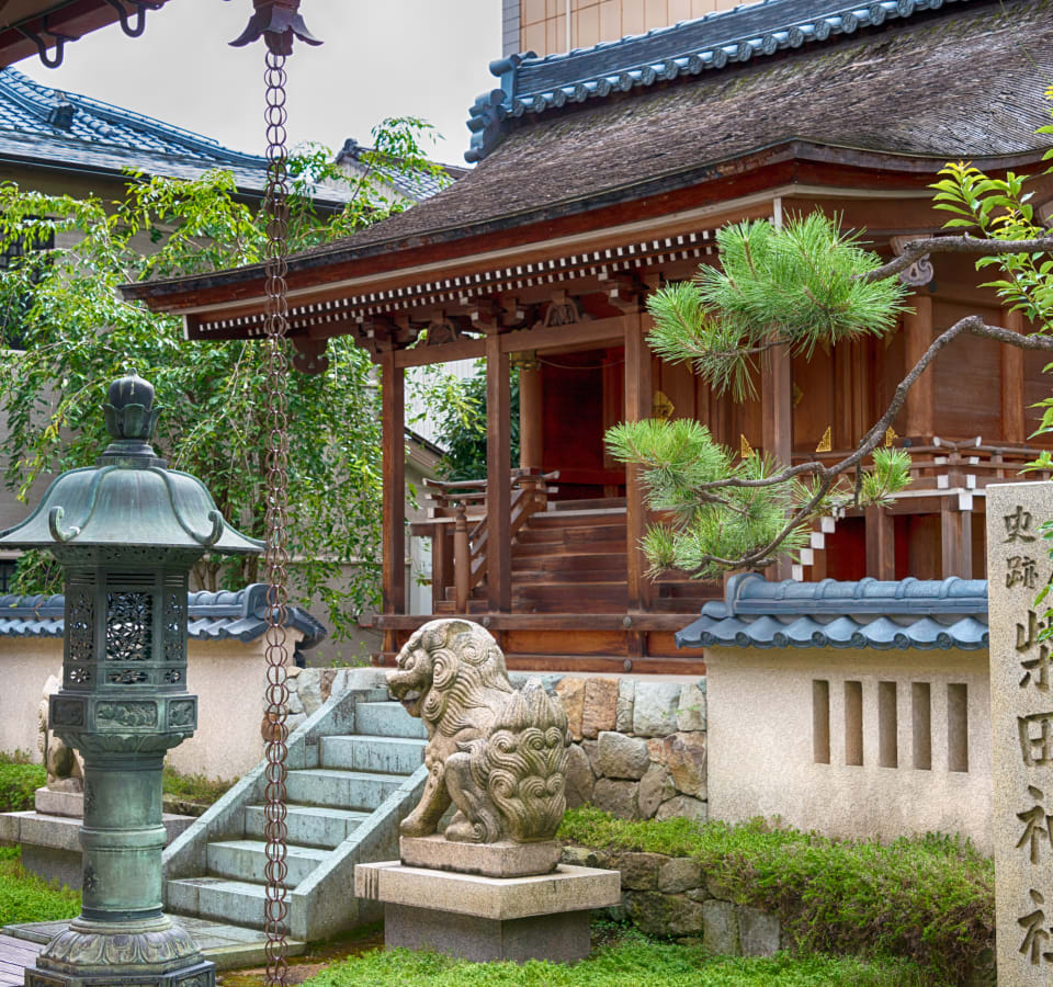 Picture of Highlights & Hidden Gems of Fukui