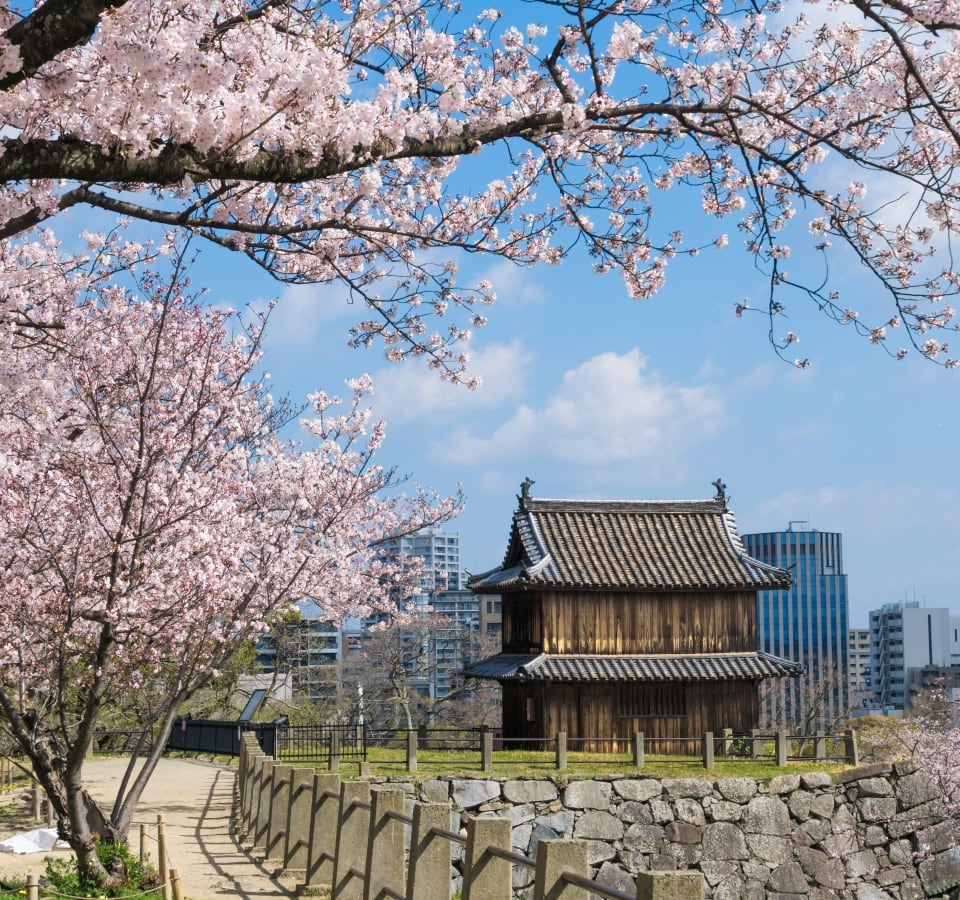 Picture of Highlights & Hidden Gems of Fukuoka
