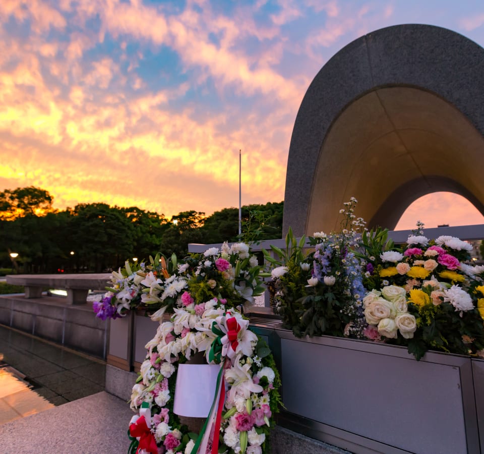 Picture of The History of Hiroshima: the Event that shaped History