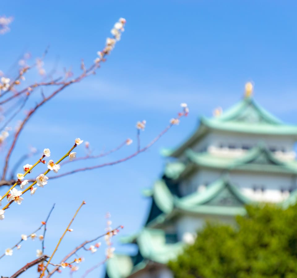 Picture of Explore the Nagoya Castle & Surroundings with a Local Guide