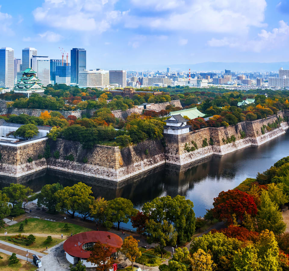 Picture of Essential Osaka: From Sky Towers to Street Markets to Castles Full Coverage Tour