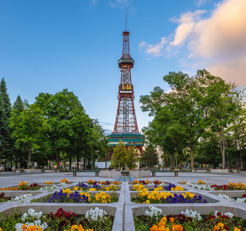 Picture of Highlights & Hidden Gems of Sapporo