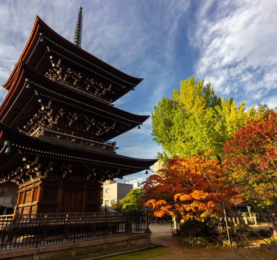 Picture of Highlights & Hidden Gems of Takayama