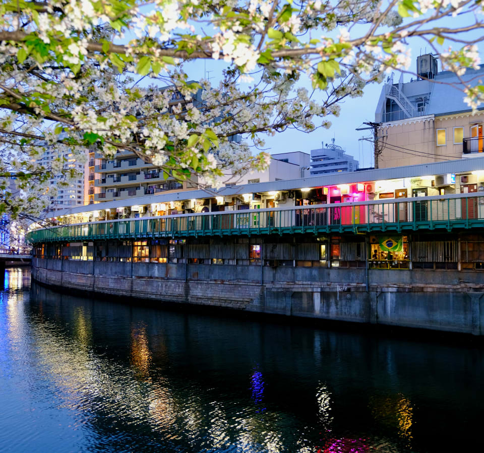 Picture of Drinks & Bites in Yokohama: Nochego District Tour