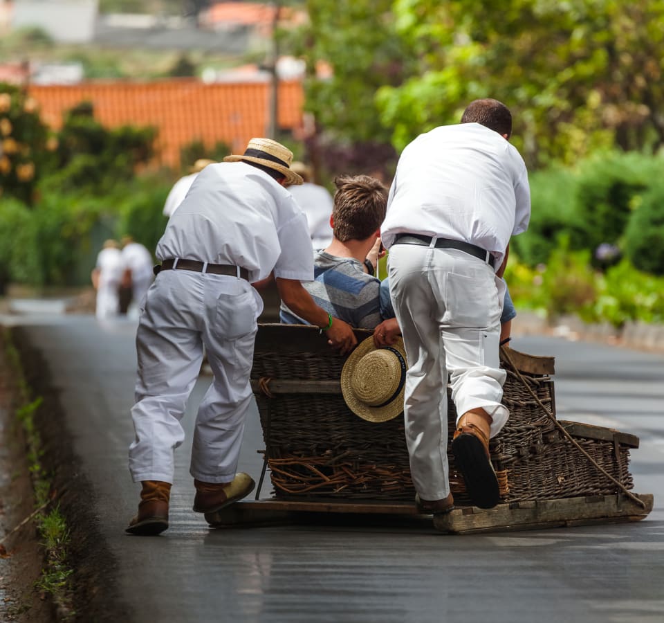 Picture of Highlights & Hidden Gems of Funchal