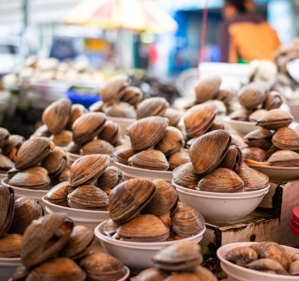 Picture of A Taste of Busan: Fishing Heritage & Seafood Tour
