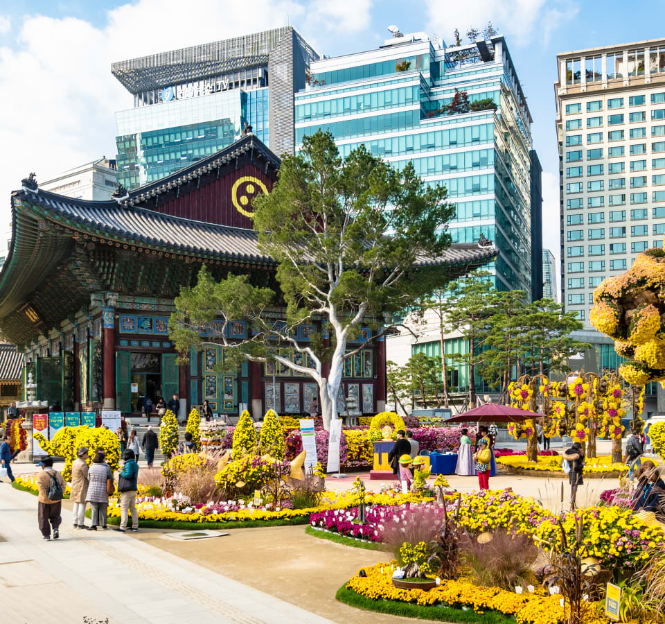 Picture of Full Coverage Seoul City Tour