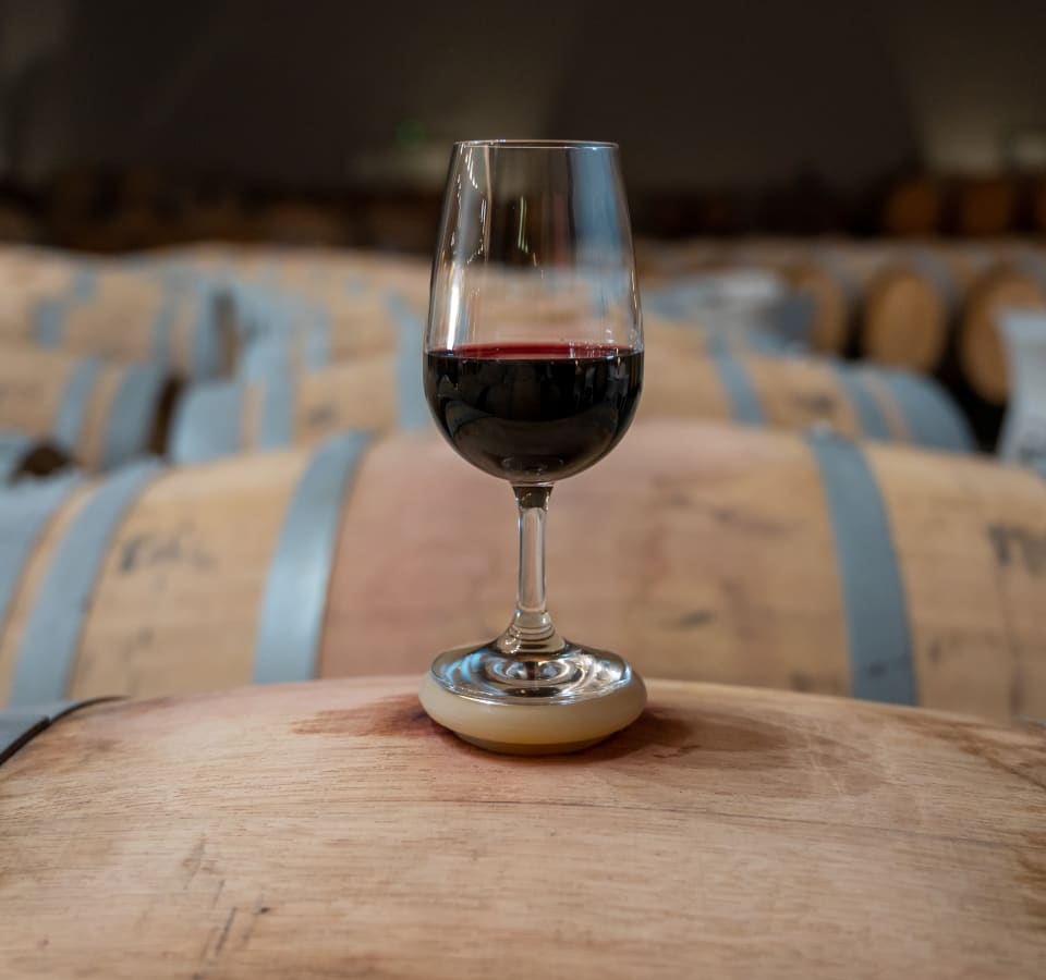 Picture of Gastronomic Adventure: Journey from Bilbao to Rioja with Two Winery Stops