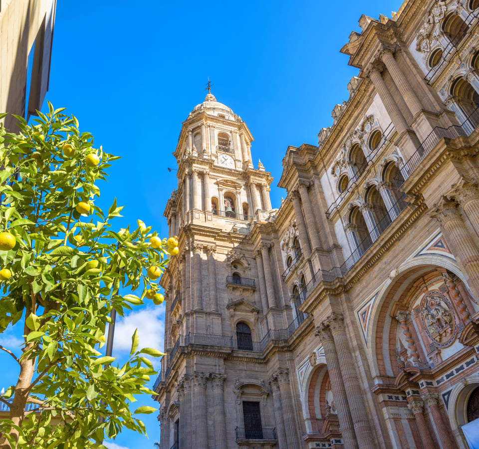 Picture of Highlights & Hidden Gems of Malaga