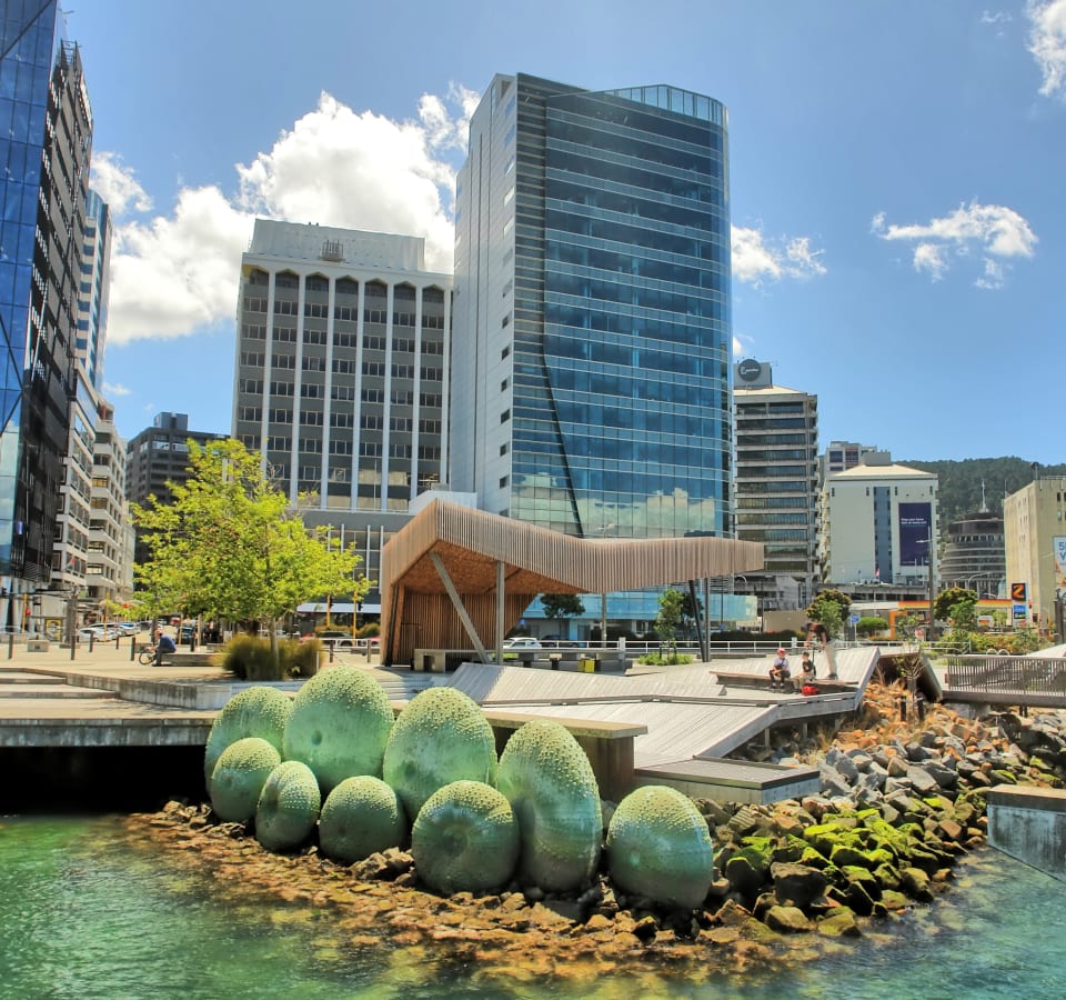Picture of Highlights & Hidden Gems of Wellington