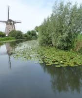Private Windmill Tour by Boat – Discover Holland’s Hidden Gem