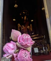 Afternoon tour: Escape the heat of Bangkok