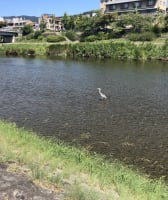 Kyoto Day Trip from Osaka