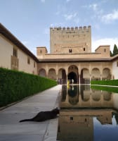 Alhambra Tour: Art & History