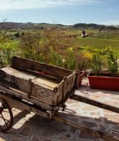 Beautiful Countryside Day Trip: Castelli Romani