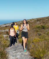 Scenic Table Mountain Private Hike with a Local