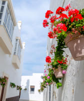 Explore Rota: A Coastal Escape from Cadiz