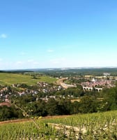 Daytrip to the Loire valley - Chateaux, wine and good food