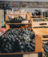 Exclusive 500 Views of Tuscany: VIP Day Trip Through Tuscany's Finest
