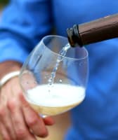 VIP Day Trip to Champagne with a Wine Expert
