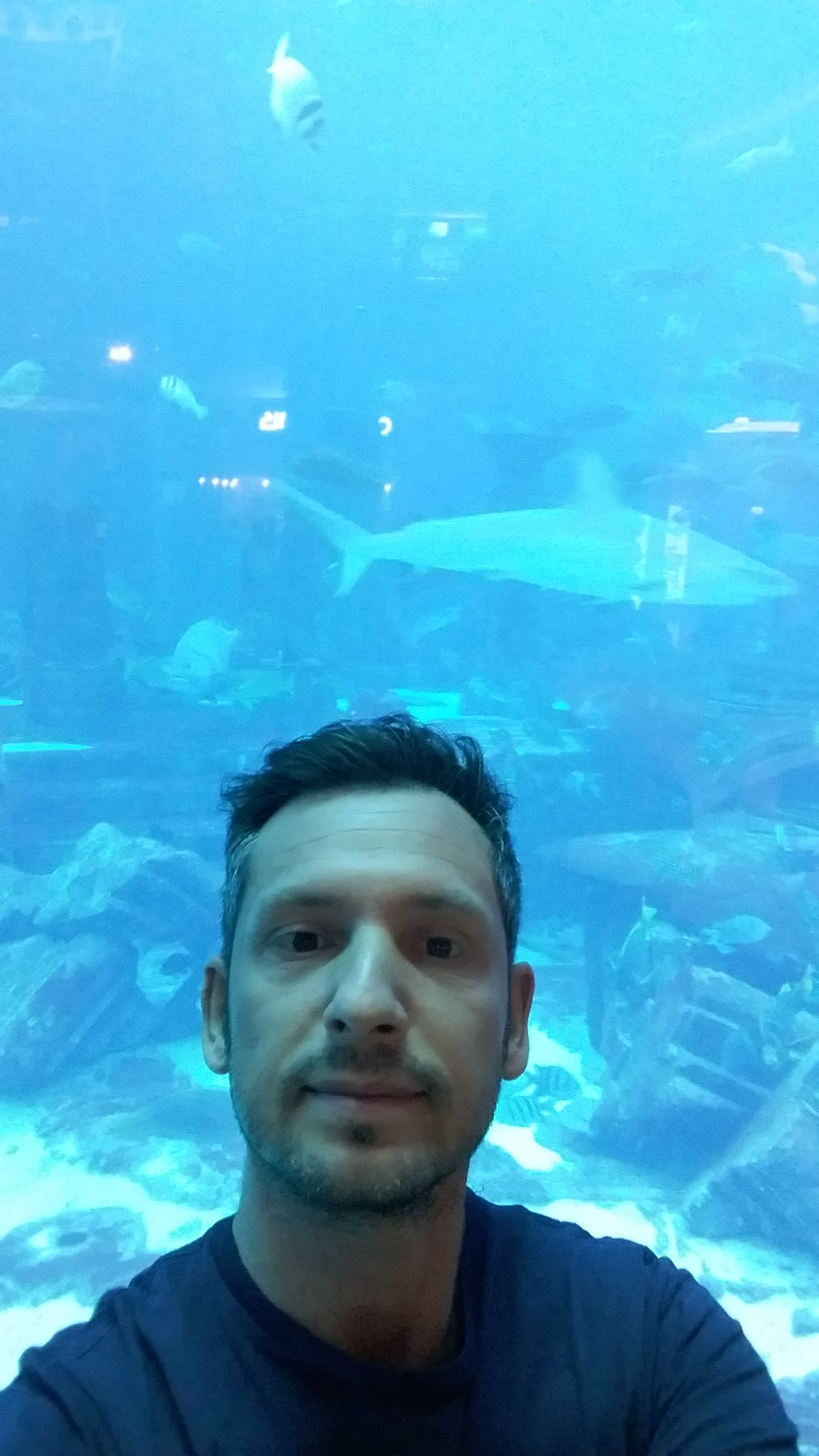 Mauro